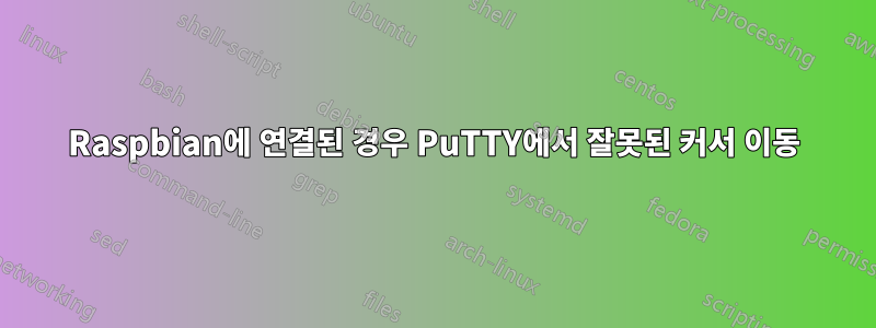 Raspbian에 연결된 경우 PuTTY에서 잘못된 커서 이동