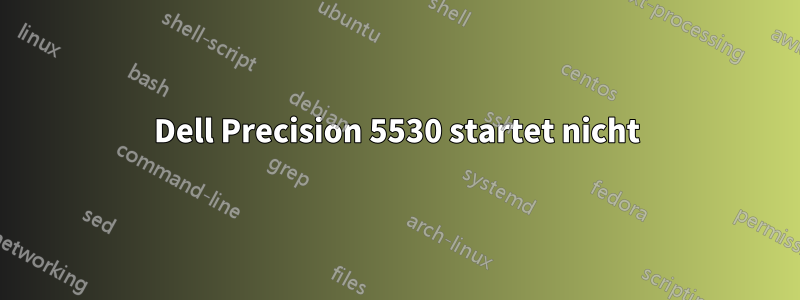 Dell Precision 5530 startet nicht