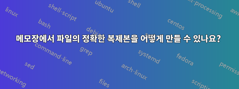 메모장에서 파일의 정확한 복제본을 어떻게 만들 수 있나요?