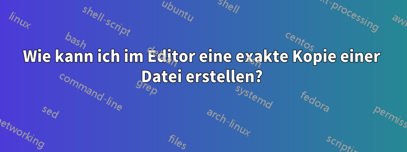 Wie kann ich im Editor eine exakte Kopie einer Datei erstellen?