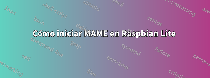 Cómo iniciar MAME en Raspbian Lite