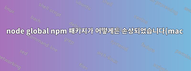 node global npm 패키지가 어떻게든 손상되었습니다(mac).