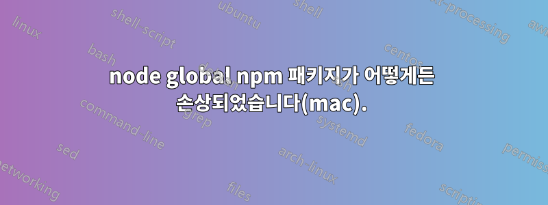 node global npm 패키지가 어떻게든 손상되었습니다(mac).