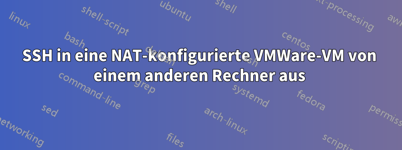 SSH in eine NAT-konfigurierte VMWare-VM von einem anderen Rechner aus