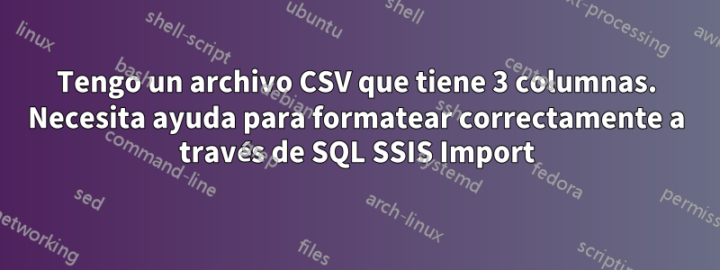 Tengo un archivo CSV que tiene 3 columnas. Necesita ayuda para formatear correctamente a través de SQL SSIS Import