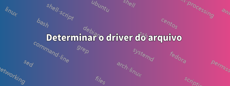 Determinar o driver do arquivo