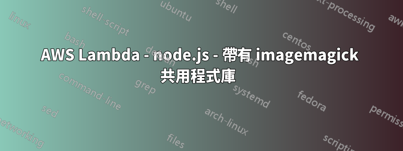 AWS Lambda - node.js - 帶有 imagemagick 共用程式庫 