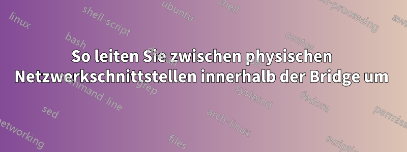 So leiten Sie zwischen physischen Netzwerkschnittstellen innerhalb der Bridge um