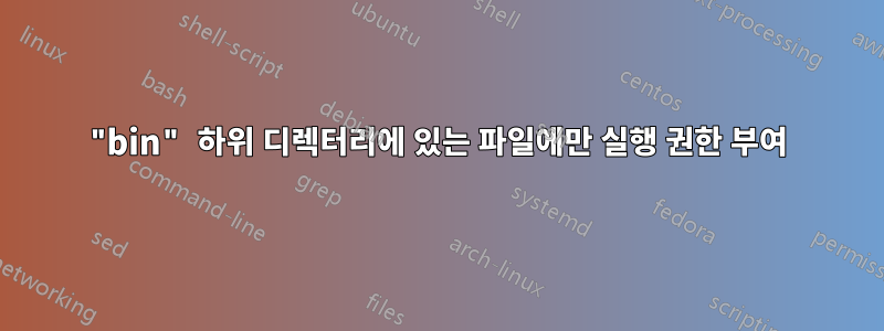 "bin" 하위 디렉터리에 있는 파일에만 실행 권한 부여