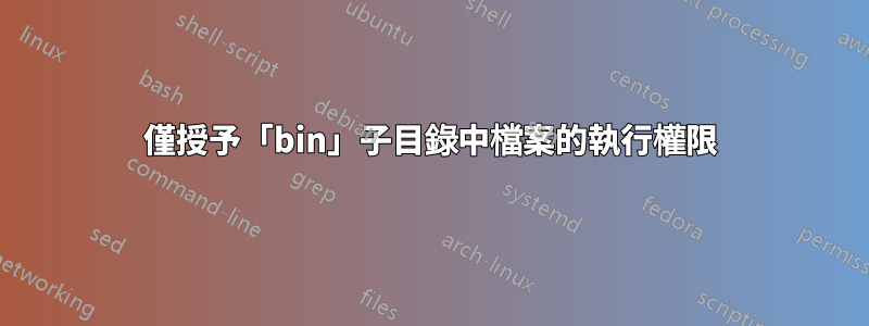 僅授予「bin」子目錄中檔案的執行權限