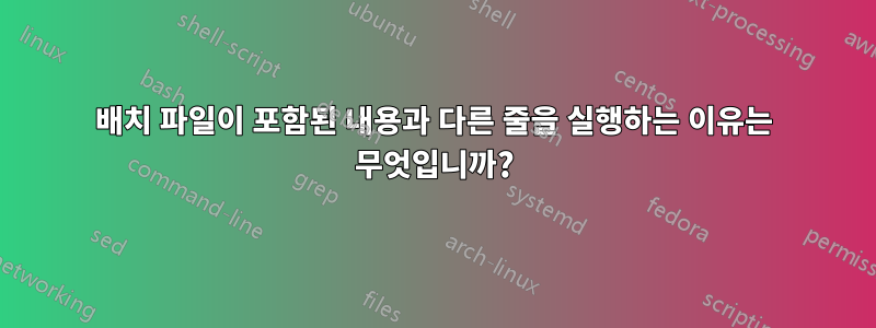 배치 파일이 포함된 내용과 다른 줄을 실행하는 이유는 무엇입니까?