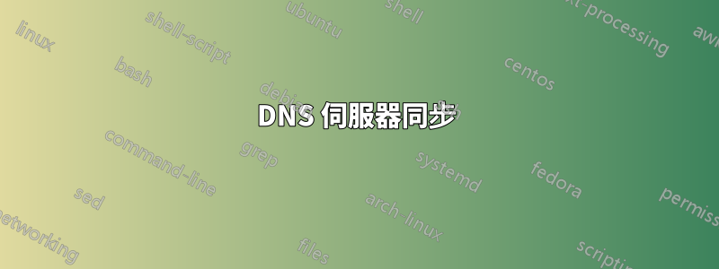 DNS 伺服器同步