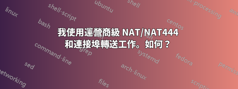 我使用運營商級 NAT/NAT444 和連接埠轉送工作。如何？