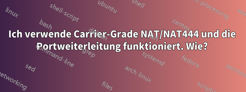 Ich verwende Carrier-Grade NAT/NAT444 und die Portweiterleitung funktioniert. Wie?