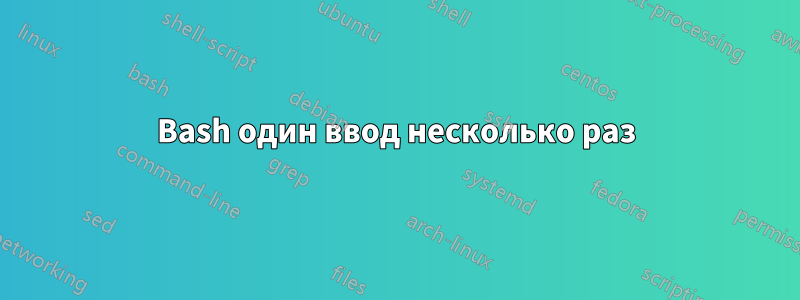 Bash один ввод несколько раз