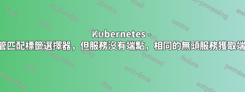 Kubernetes - 儘管匹配標籤選擇器，但服務沒有端點，相同的無頭服務獲取端點