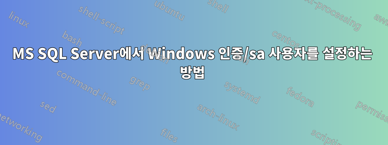 MS SQL Server에서 Windows 인증/sa 사용자를 설정하는 방법