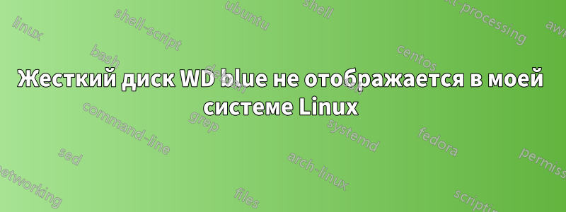 Жесткий диск WD blue не отображается в моей системе Linux