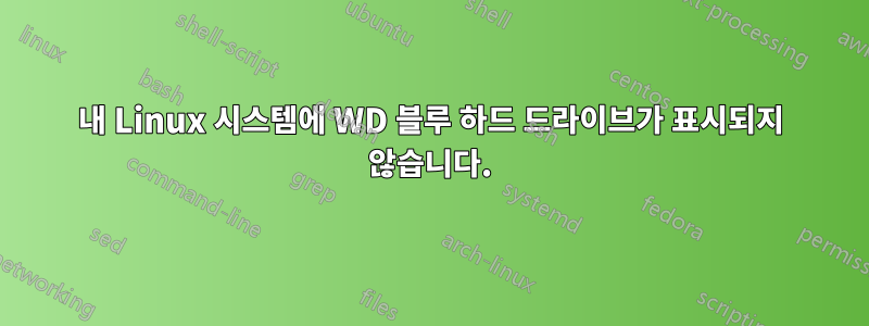 내 Linux 시스템에 WD 블루 하드 드라이브가 표시되지 않습니다.