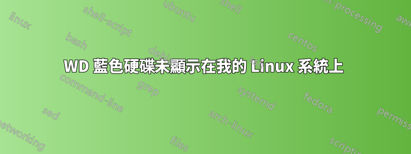 WD 藍色硬碟未顯示在我的 Linux 系統上