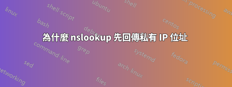 為什麼 nslookup 先回傳私有 IP 位址