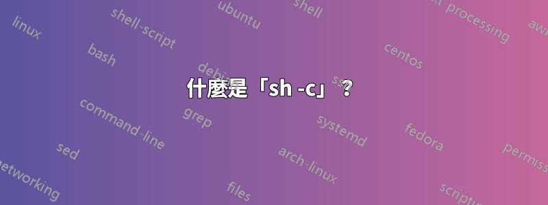 什麼是「sh -c」？