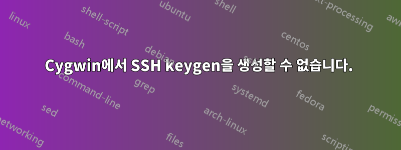 Cygwin에서 SSH keygen을 생성할 수 없습니다.