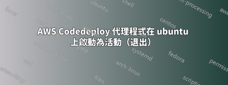 AWS Codedeploy 代理程式在 ubuntu 上啟動為活動（退出）