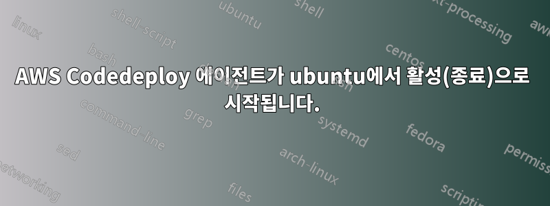 AWS Codedeploy 에이전트가 ubuntu에서 활성(종료)으로 시작됩니다.