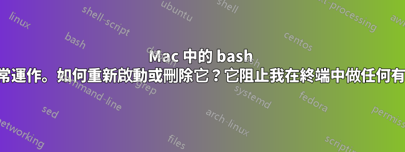 Mac 中的 bash 檔案無法正常運作。如何重新啟動或刪除它？它阻止我在終端中做任何有意義的事情