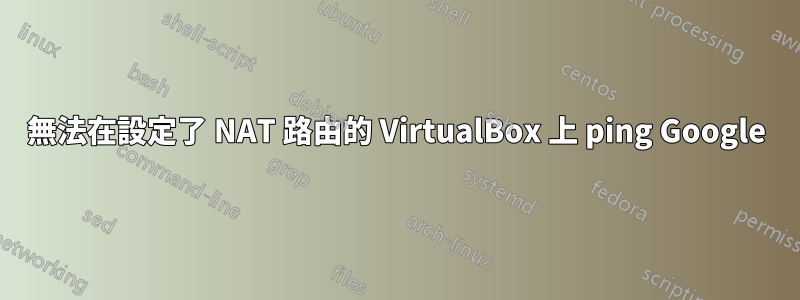 無法在設定了 NAT 路由的 VirtualBox 上 ping Google