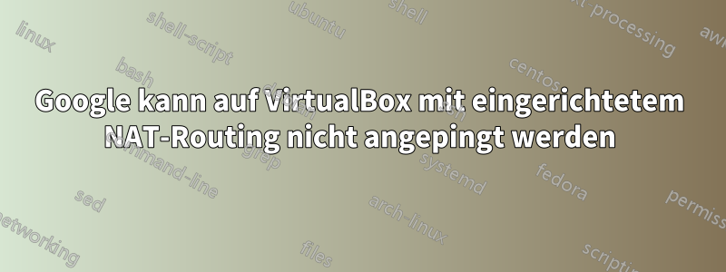 Google kann auf VirtualBox mit eingerichtetem NAT-Routing nicht angepingt werden