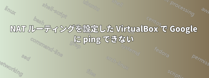 NAT ルーティングを設定した VirtualBox で Google に ping できない