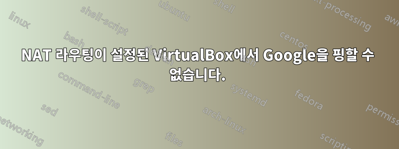 NAT 라우팅이 설정된 VirtualBox에서 Google을 핑할 수 없습니다.