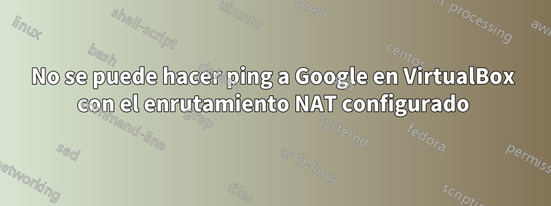 No se puede hacer ping a Google en VirtualBox con el enrutamiento NAT configurado