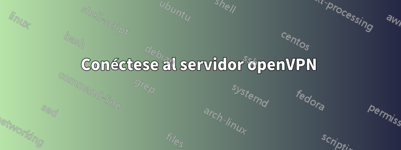 Conéctese al servidor openVPN