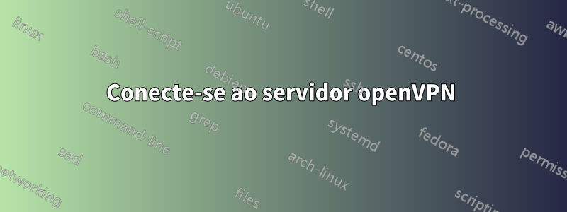 Conecte-se ao servidor openVPN