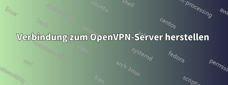 Verbindung zum OpenVPN-Server herstellen