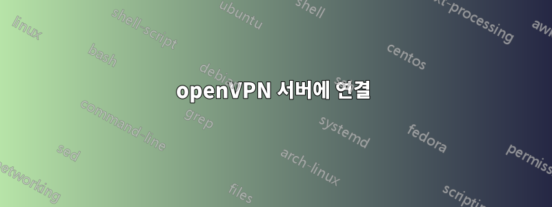 openVPN 서버에 연결