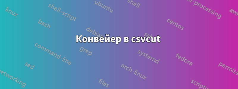 Конвейер в csvcut