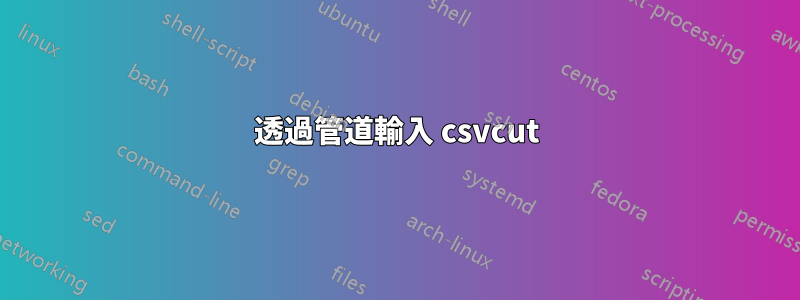 透過管道輸入 csvcut