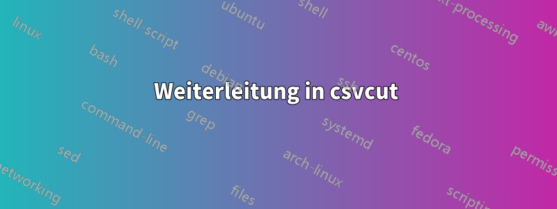 Weiterleitung in csvcut