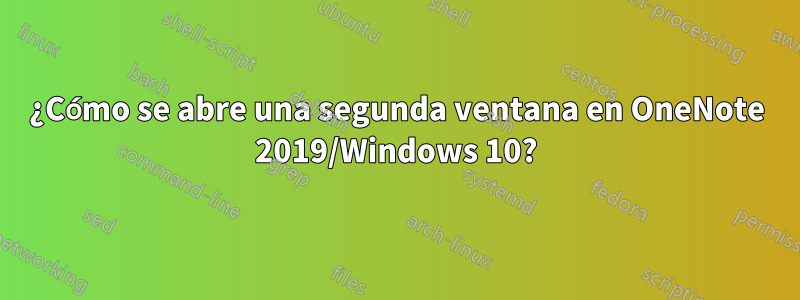 ¿Cómo se abre una segunda ventana en OneNote 2019/Windows 10?