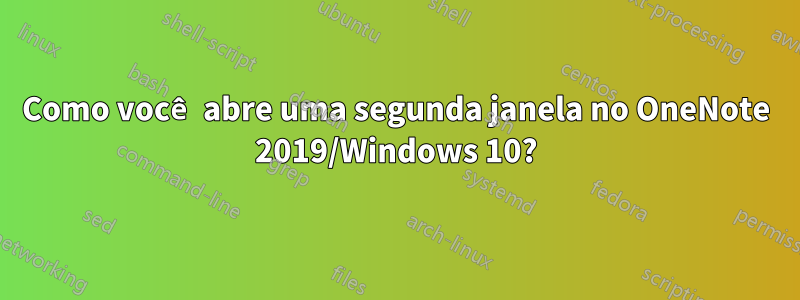 Como você abre uma segunda janela no OneNote 2019/Windows 10?