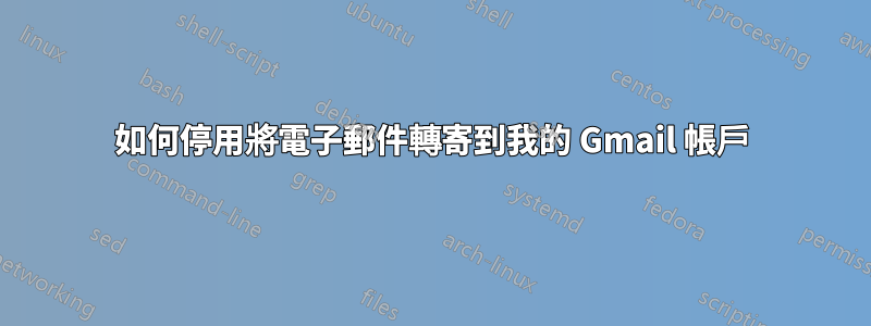 如何停用將電子郵件轉寄到我的 Gmail 帳戶