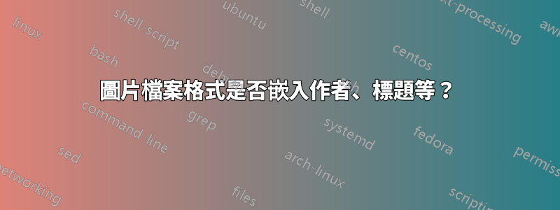 圖片檔案格式是否嵌入作者、標題等？