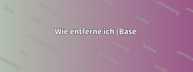 Wie entferne ich (Base) aus Powershell?