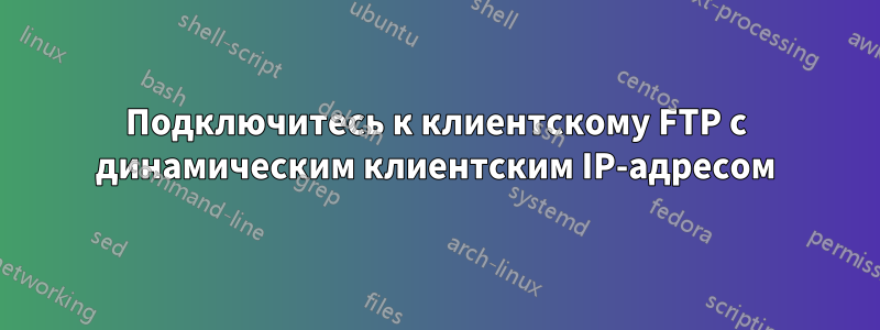 Подключитесь к клиентскому FTP с динамическим клиентским IP-адресом