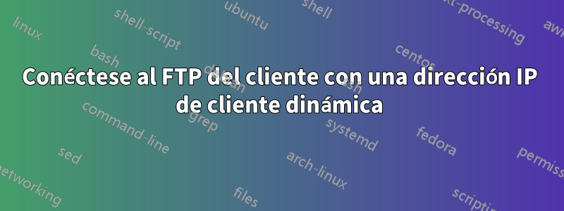 Conéctese al FTP del cliente con una dirección IP de cliente dinámica