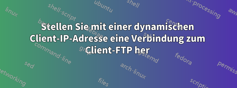 Stellen Sie mit einer dynamischen Client-IP-Adresse eine Verbindung zum Client-FTP her